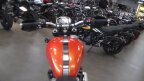 Thumbnail Photo 5 for New 2025 Triumph Scrambler XE