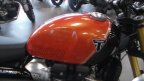 Thumbnail Photo 6 for New 2025 Triumph Scrambler XE