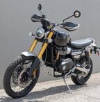 Thumbnail Photo 5 for New 2025 Triumph Scrambler 1200 XE