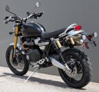 Thumbnail Photo 2 for New 2025 Triumph Scrambler 1200 XE