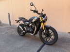 Thumbnail Photo 1 for New 2025 Triumph Scrambler 400 X