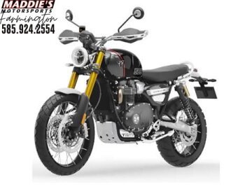 New 2025 Triumph Scrambler 1200 XE