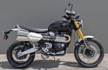 New 2025 Triumph Scrambler 1200 XE