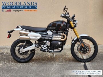 New 2025 Triumph Scrambler 1200 XE