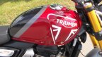 Thumbnail Photo 5 for New 2025 Triumph Speed 400