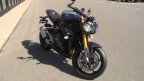 Thumbnail Photo 3 for New 2025 Triumph Speed Triple