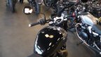 Thumbnail Photo 4 for New 2025 Triumph Speed Twin