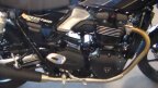 Thumbnail Photo 6 for New 2025 Triumph Speed Twin