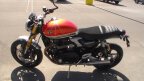 Thumbnail Photo 2 for New 2025 Triumph Speed Twin