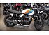 New 2025 Triumph Speed Twin