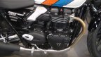 Thumbnail Photo 6 for New 2025 Triumph Speed Twin