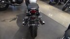 Thumbnail Photo 3 for New 2025 Triumph Speed Twin