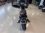 Thumbnail Photo 6 for 2025 Triumph Speed Twin
