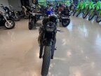 Thumbnail Photo 2 for 2025 Triumph Speed Twin