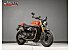 2025 Triumph Speed Twin