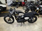 Thumbnail Photo 4 for New 2025 Triumph Street Scrambler