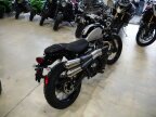Thumbnail Photo 1 for New 2025 Triumph Street Scrambler