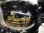 Thumbnail Photo 6 for New 2025 Triumph Street Scrambler