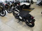 Thumbnail Photo 3 for New 2025 Triumph Street Scrambler