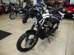 Thumbnail Photo 5 for New 2025 Triumph Street Scrambler