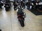 Thumbnail Photo 2 for New 2025 Triumph Street Scrambler