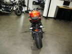 Thumbnail Photo 2 for New 2025 Triumph Street Triple R