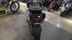 Thumbnail Photo 3 for New 2025 Triumph Tiger 1200 Rally Pro