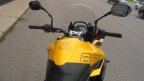 Thumbnail Photo 6 for New 2025 Triumph Tiger 800