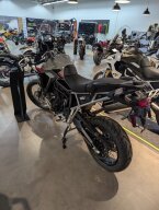 Thumbnail Photo 6 for New 2025 Triumph Tiger 900 Rally Pro