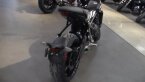 Thumbnail Photo 3 for New 2025 Triumph Trident 660