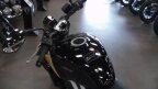 Thumbnail Photo 5 for New 2025 Triumph Trident 660