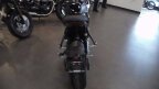 Thumbnail Photo 4 for New 2025 Triumph Trident 660