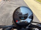 Thumbnail Photo 3 for New 2025 Triumph Trident 660