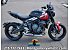 2025 Triumph Trident 660