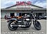 New 2025 Yamaha Bolt