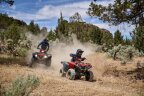 Thumbnail Photo 4 for New 2025 Yamaha Grizzly 110