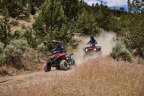 Thumbnail Photo 5 for New 2025 Yamaha Grizzly 110