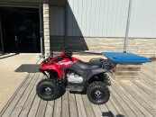 New 2025 Yamaha Grizzly 110