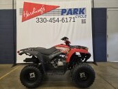 New 2025 Yamaha Grizzly 110