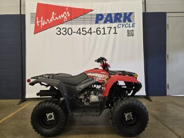 New 2025 Yamaha Grizzly 110