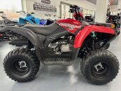New 2025 Yamaha Grizzly 110