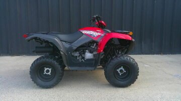 New 2025 Yamaha Grizzly 110