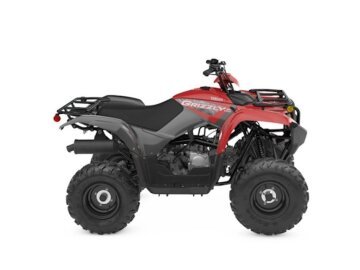 New 2025 Yamaha Grizzly 110