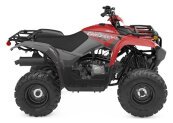 New 2025 Yamaha Grizzly 110
