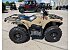 New 2025 Yamaha Kodiak 450 EPS SE