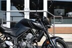 Thumbnail Photo 2 for New 2025 Yamaha MT-03