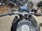 Thumbnail Photo 1 for New 2025 Yamaha MT-03