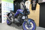Thumbnail Photo 1 for New 2025 Yamaha MT-03