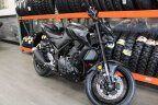Thumbnail Photo 1 for New 2025 Yamaha MT-03
