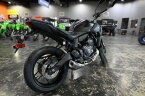 Thumbnail Photo 2 for New 2025 Yamaha MT-07